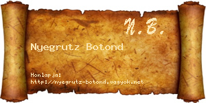Nyegrutz Botond névjegykártya